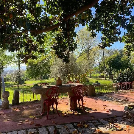 Villa Casa Do Palheiro - Valença *