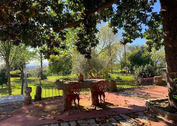 Villa Casa Do Palheiro - Valenca *