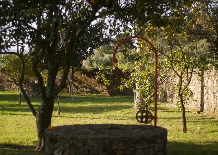 Casa Do Palheiro - Valenca Bade
